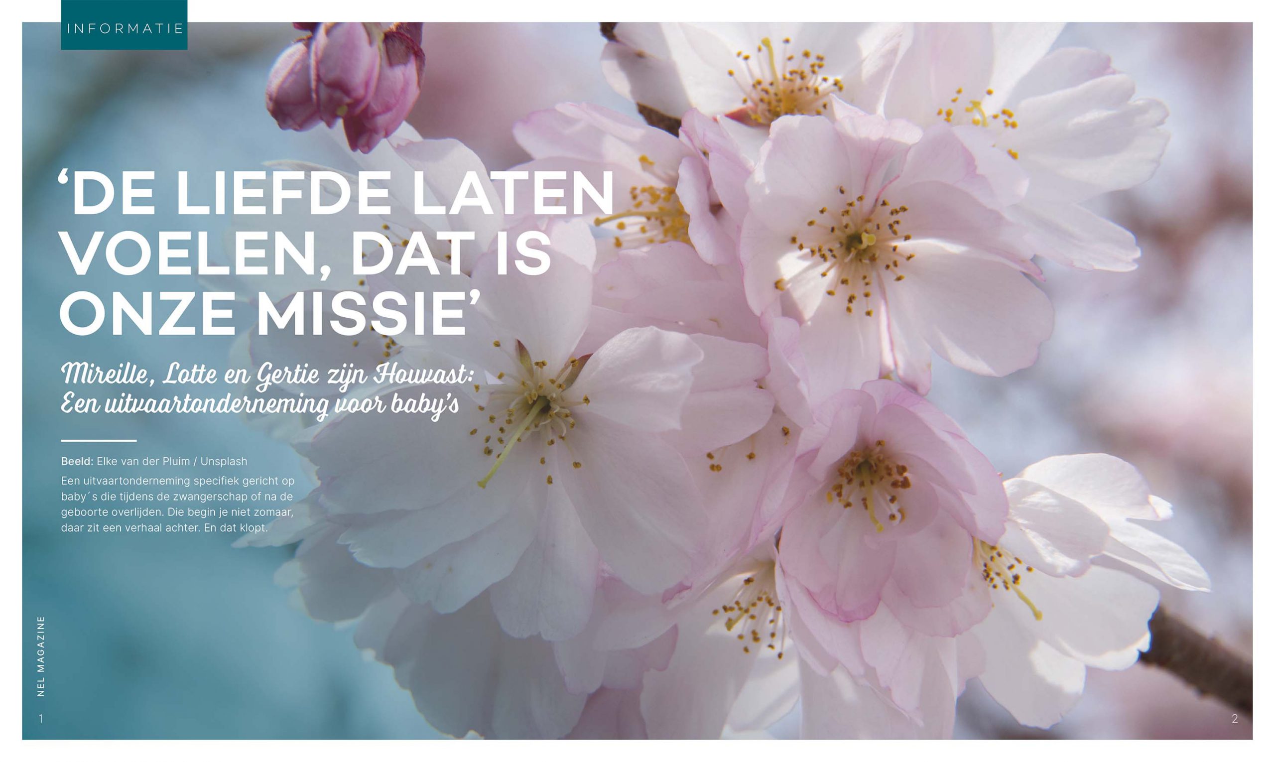 De liefde laten voelen dat is de missie van de dames van Houvast Uitvaartzorg